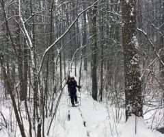 Move to North Andover, MA for Snowshoeing.